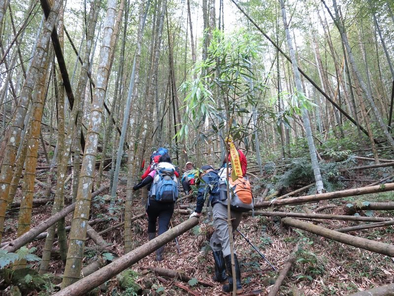 鳳凰北嶺線縱走_566152