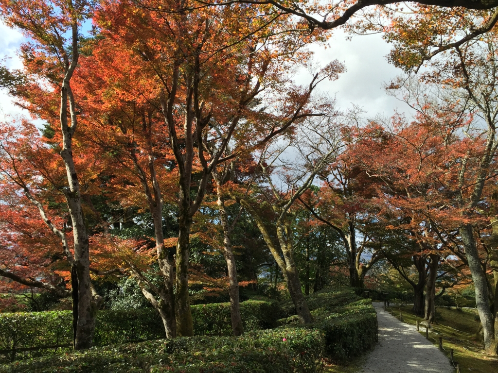 修學院離宮_23585