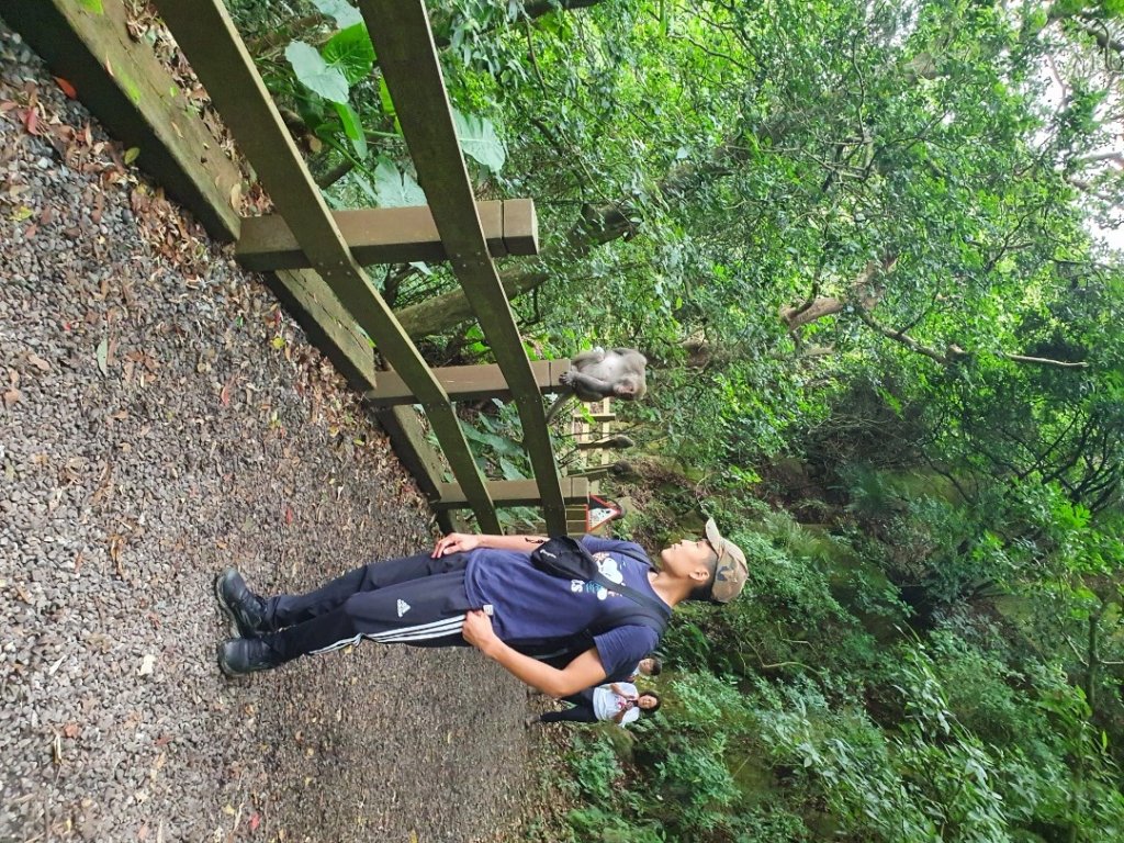 天母水管路古道，翠峰瀑布，芝山岩步道群，貴子坑水土保持園區，奇岩山，泰山義學坑步道，八連溪水車公園_1716678