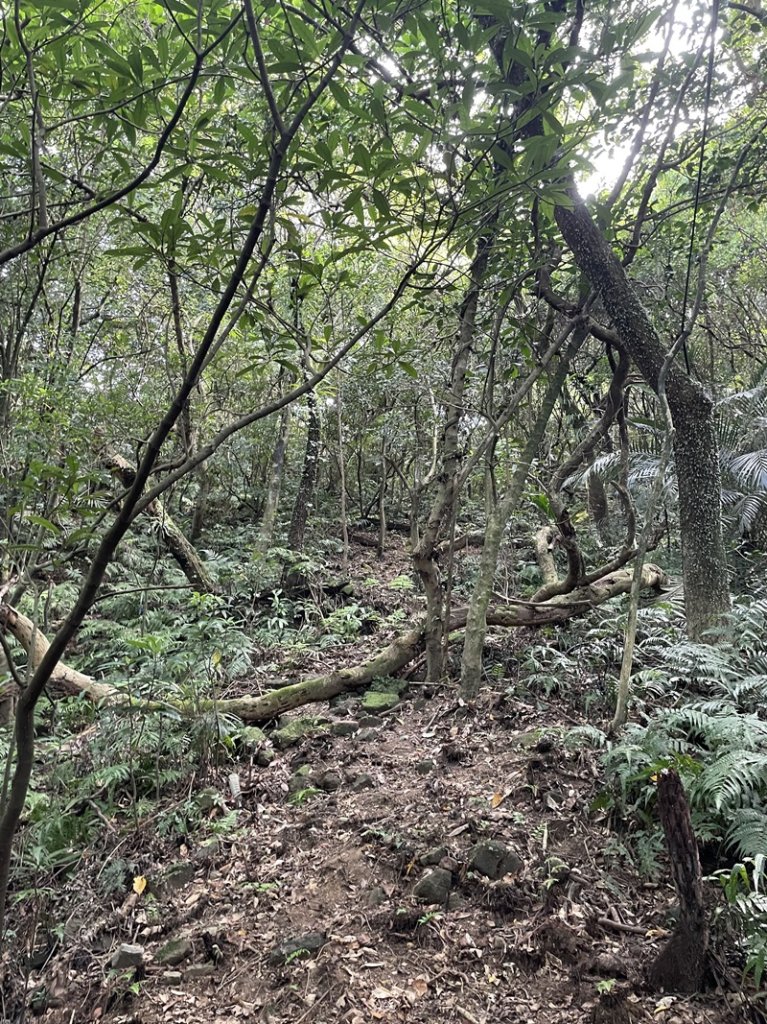 石笋古道O型_2553808