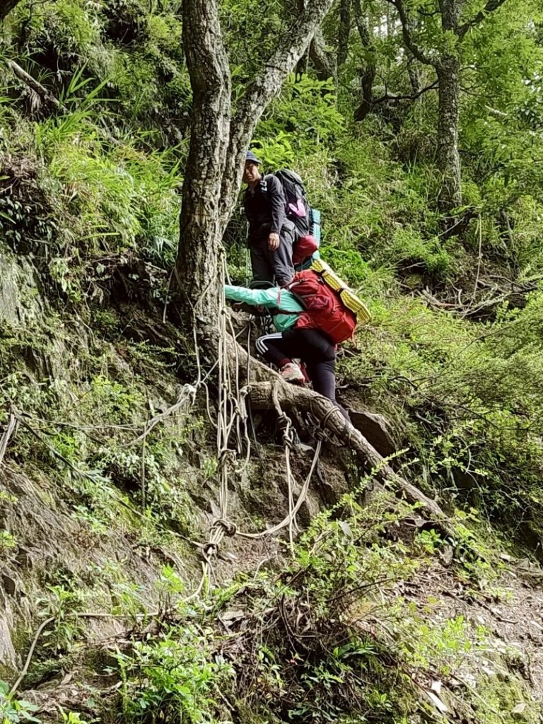 能高安東軍 被水鹿包圍的奇幻冒險旅程_2811323