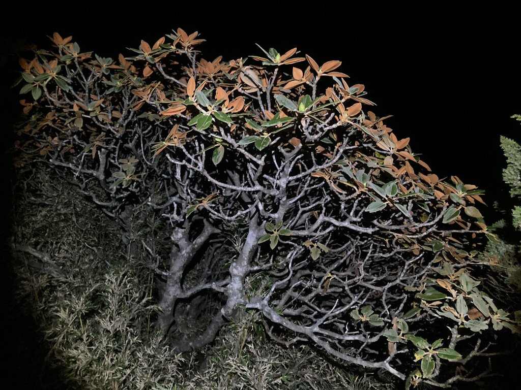 2021.10.2_5南湖群峰(缺巴巴山)_2013131