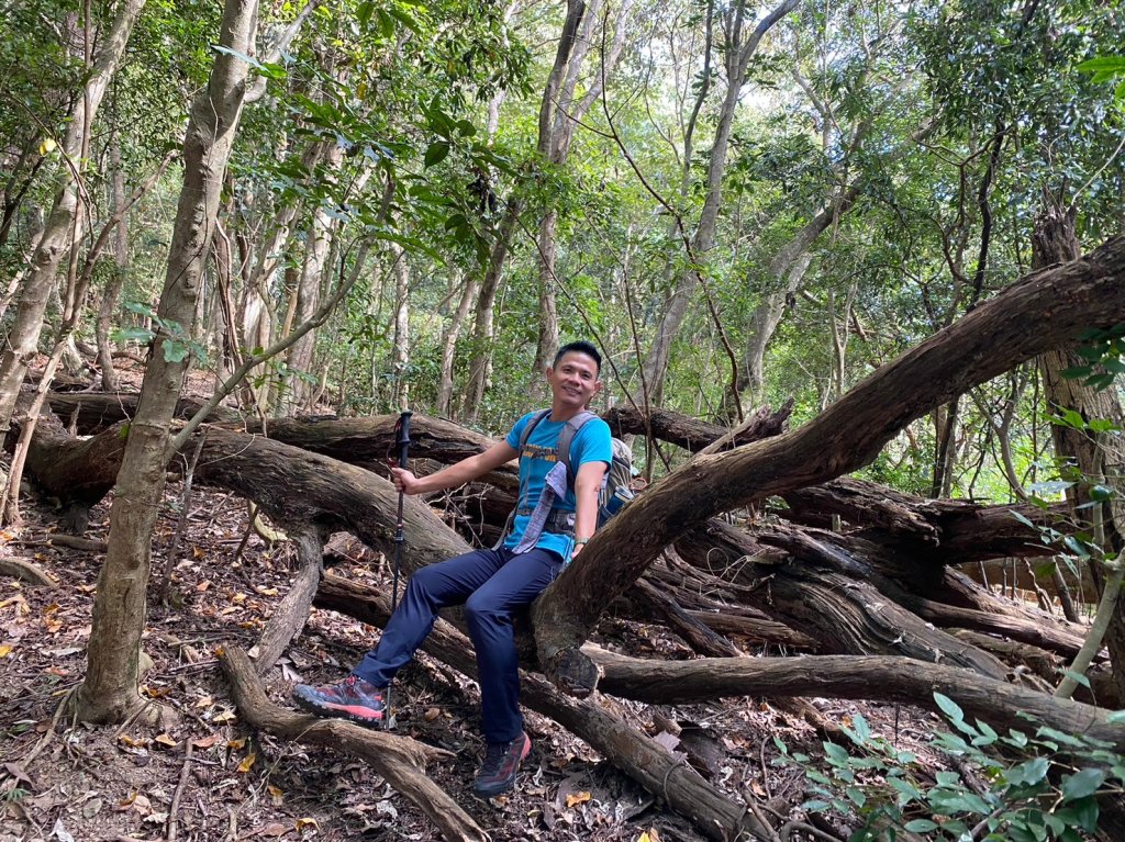 六龜美輪山【享受簡單純粹的登山樂趣】_2415547