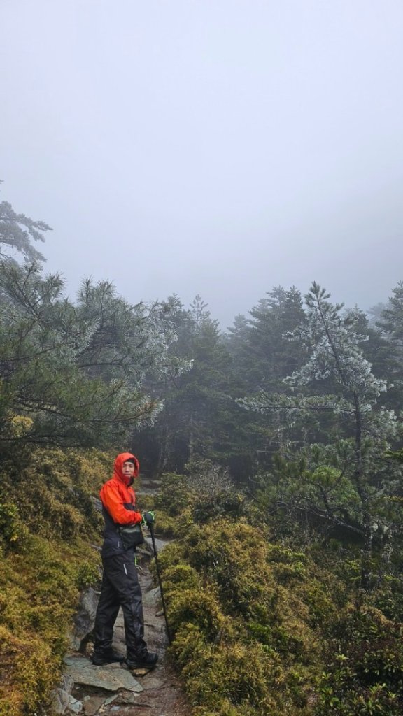 20250319～20嘉明湖國家步道🥶🥶🥶殘念😭_2739738