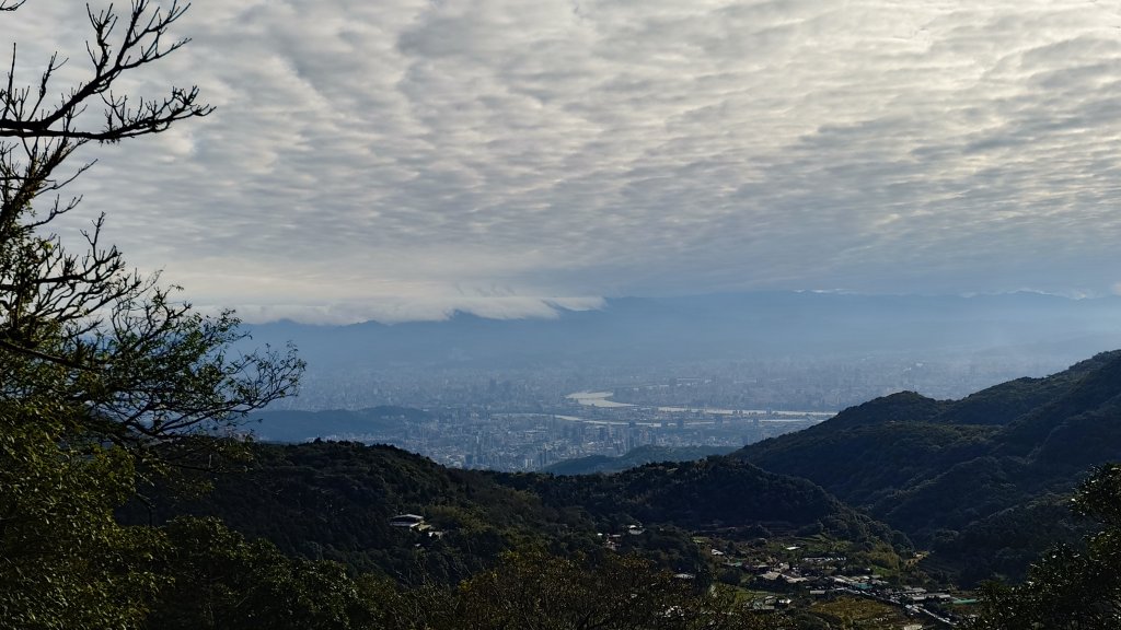 20260125 陽明山前後山健行(無極天元宮~山仔頂步道.向天池.向天山.面天山.二子坪)_2998069