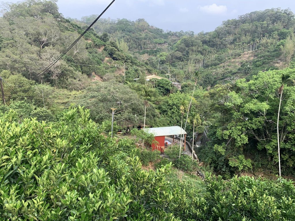 台中潭子聚興山環O林牛山一圈封面圖