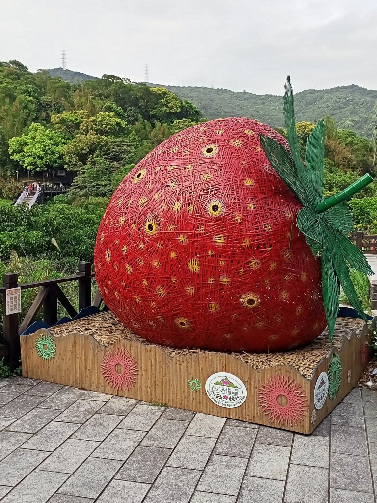 【臺北大縱走 4】2-2 許願步道→碧山路→白石湖吊橋→圓覺寺步道→圓覺瀑布→大溝溪生態治水園區_2113673