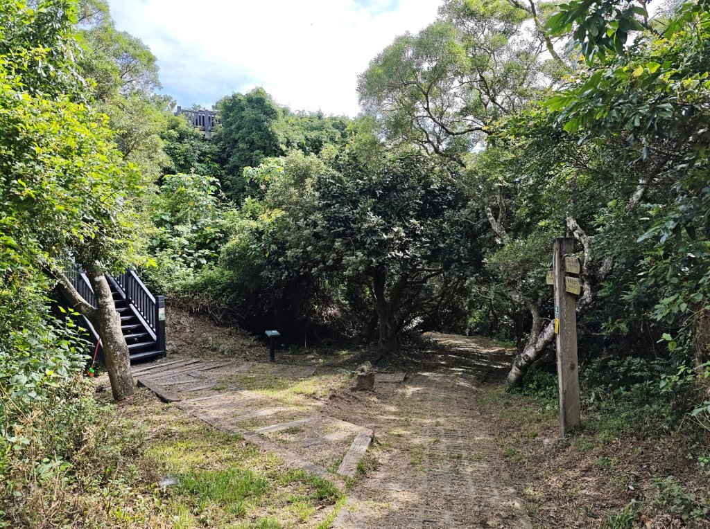 [百山百鳥尋旅-02/15] 2025_0809 社頂自然公園步道_2856931