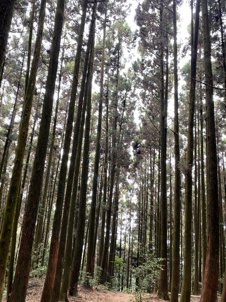 鳶嘴西稜上鳶嘴山 27.5k出_1151727