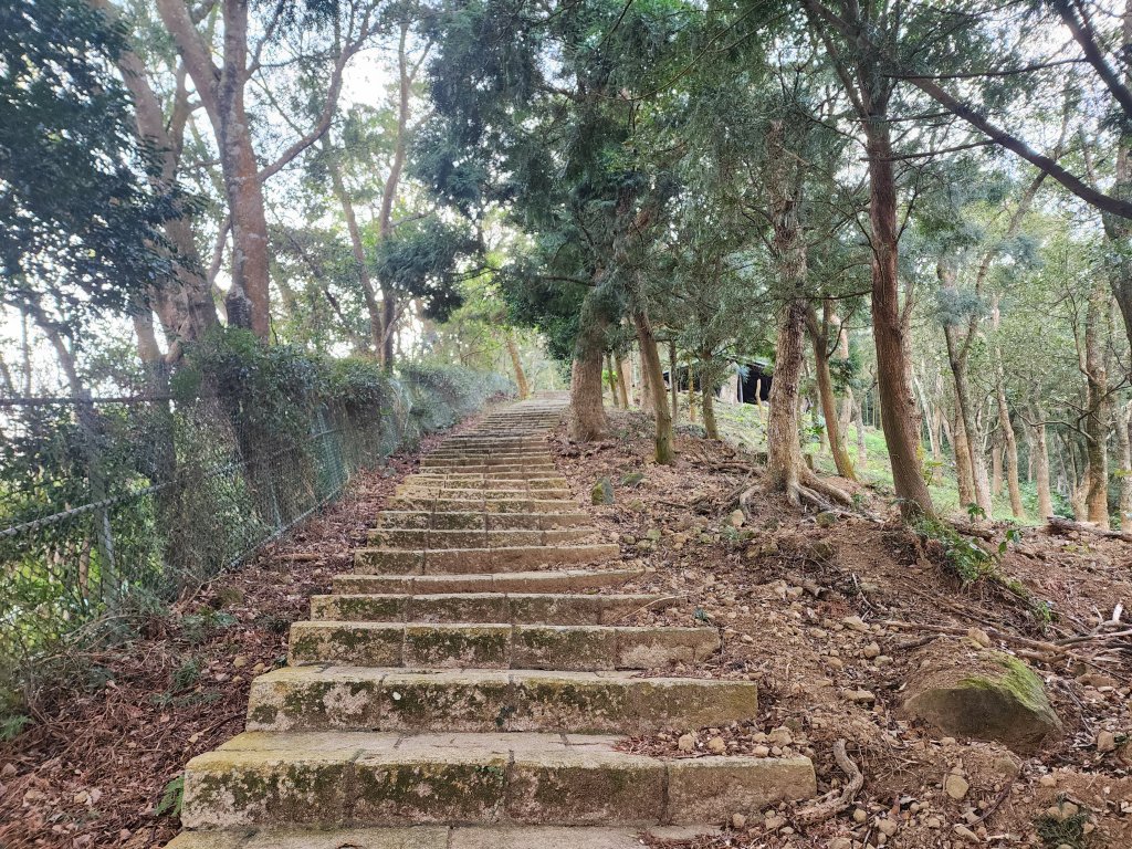 2026022面桶寮山小分林山大分林山_3013051