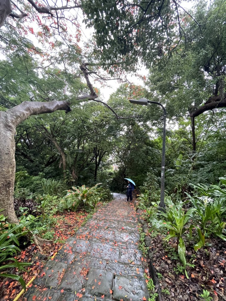 天母古道（水管路）_2650095