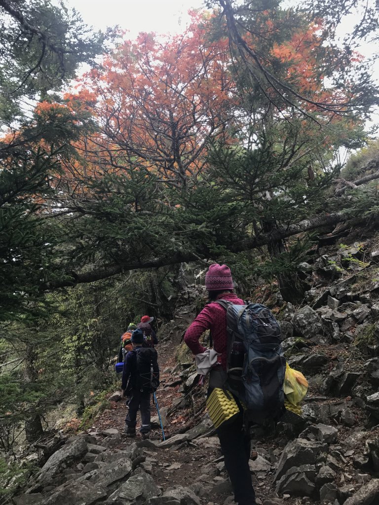 雪山 不下雪_533079