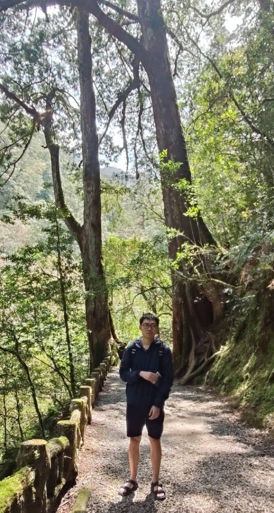 拉拉山國家森林遊樂區_2752209