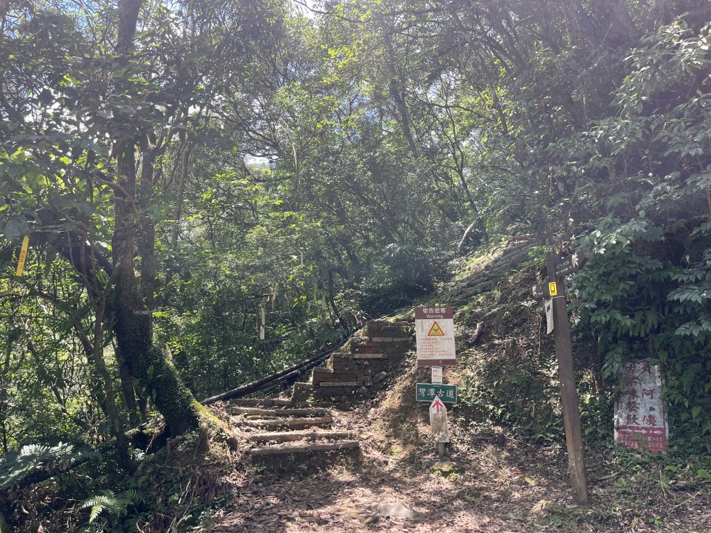 [淡蘭古道] 2024_0622 中路第五段-灣潭古道_2533966