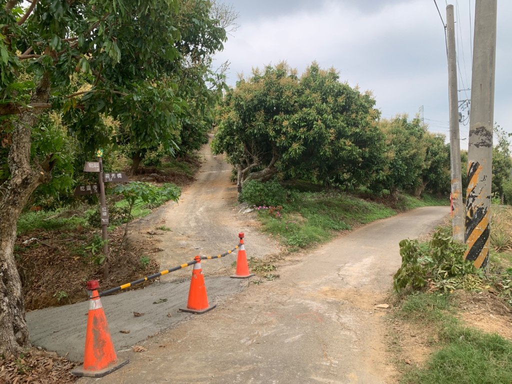 阿罩霧山、中心瓏步道_2768929