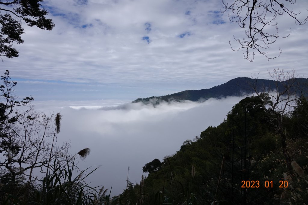 苗栗 南庄 鹿山、鹿坑山_2001827