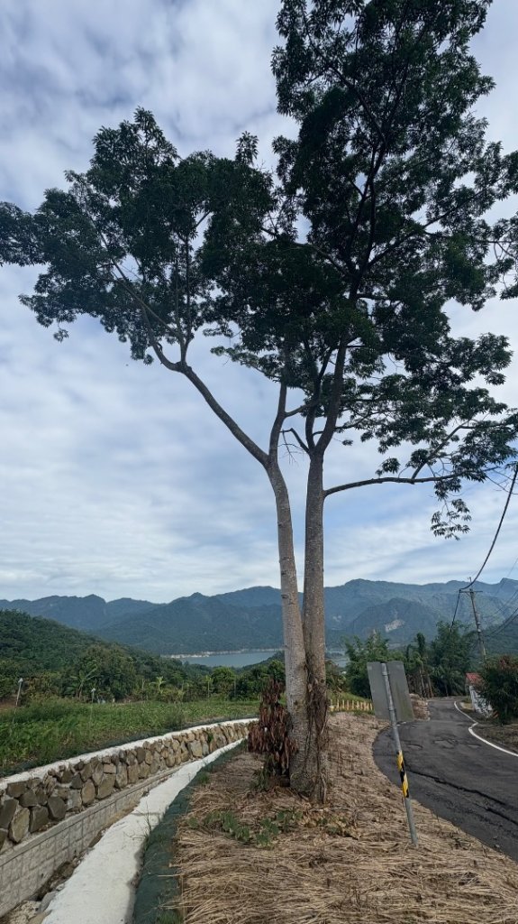 三腳南山_2799520