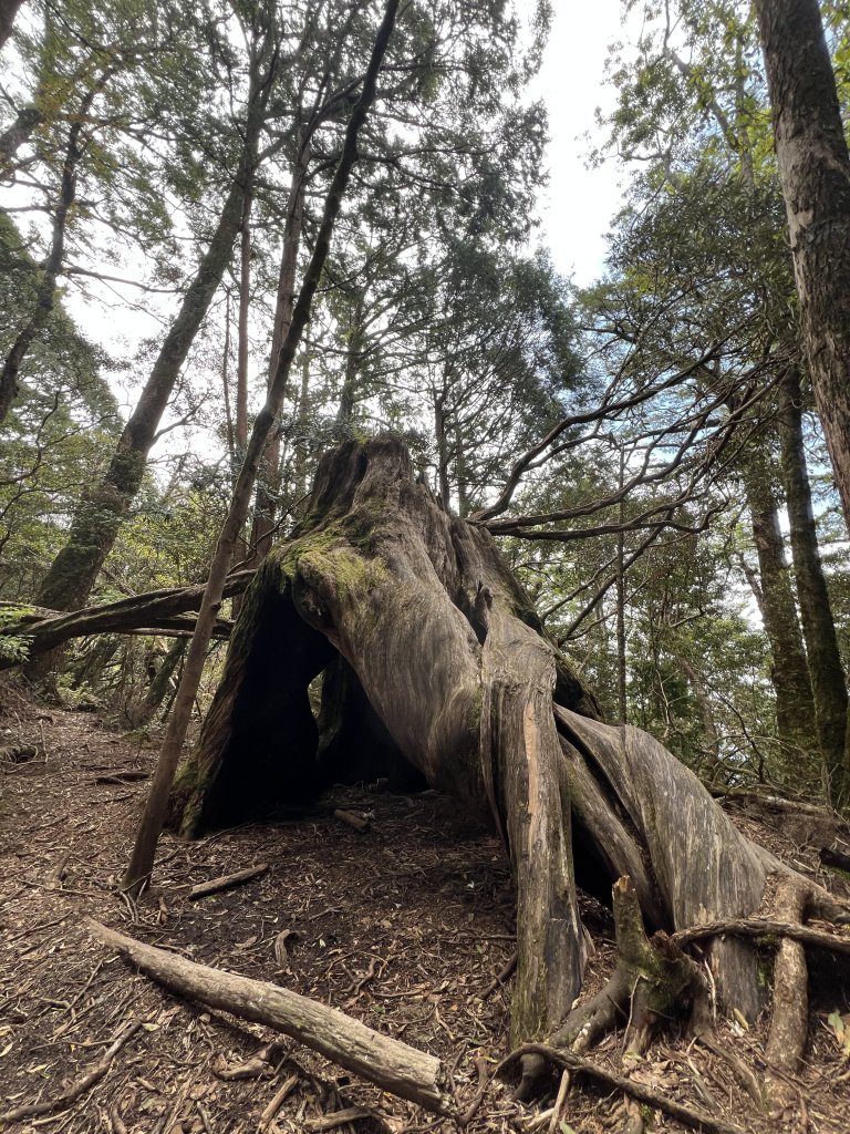 ~  塔  曼  山  ~_2782803