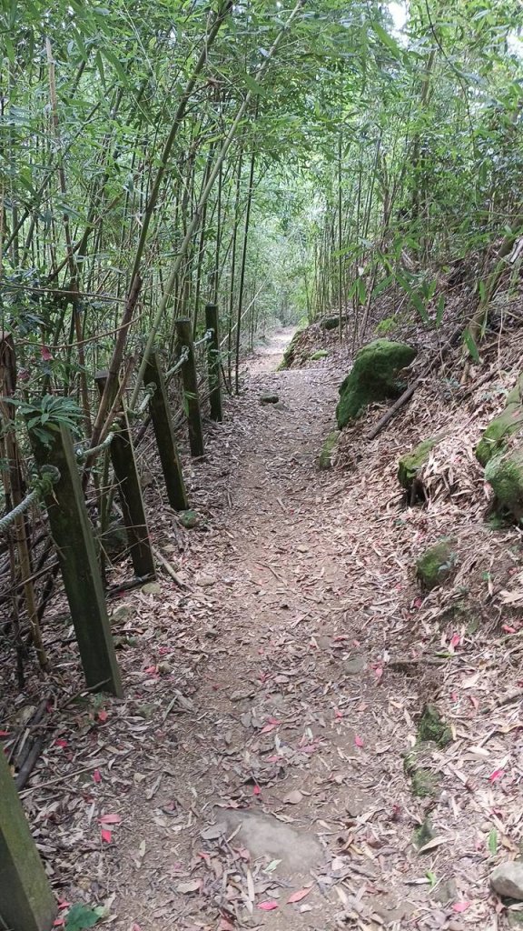 20251004 馬那邦山 - 珠湖 登山口_2904774