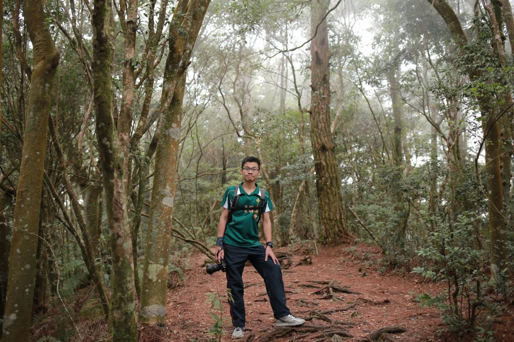 橫嶺山：連走沙連山_281314