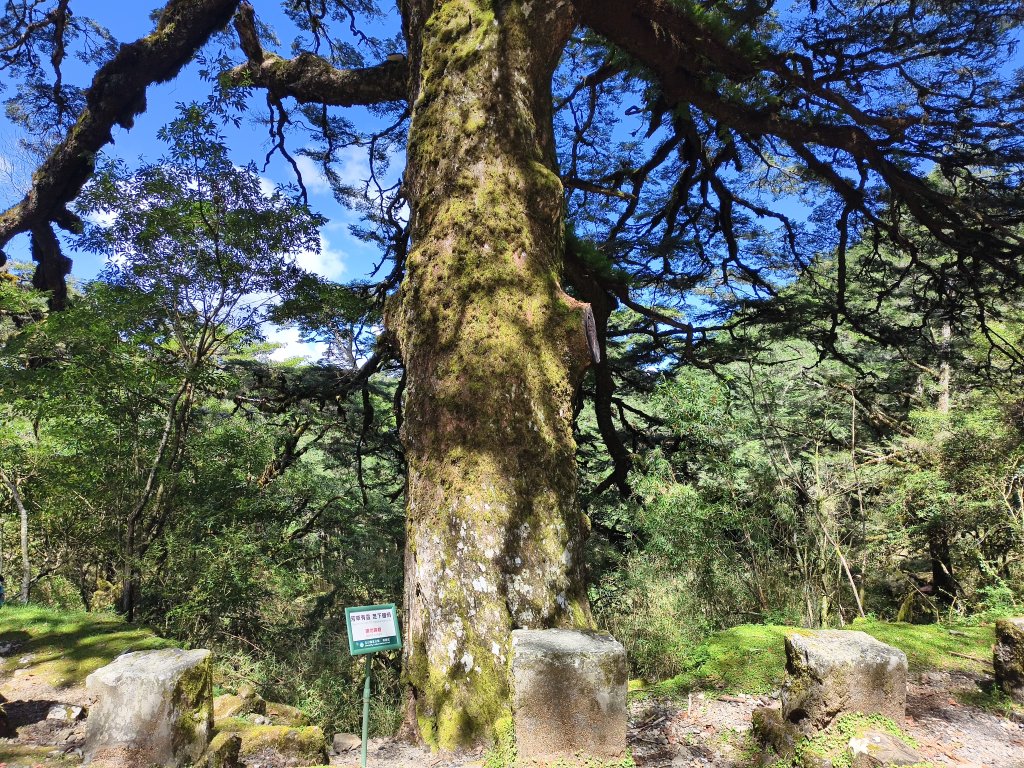 [玉山尋寶任務-09/12] 2025_0928 麟趾山步道_2899879