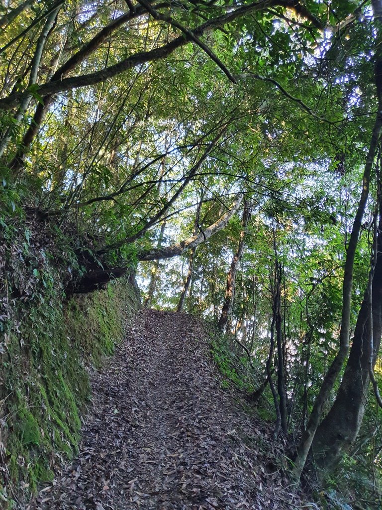 草嶺風情(石壁山,連心池,萬年峽谷)_1487128
