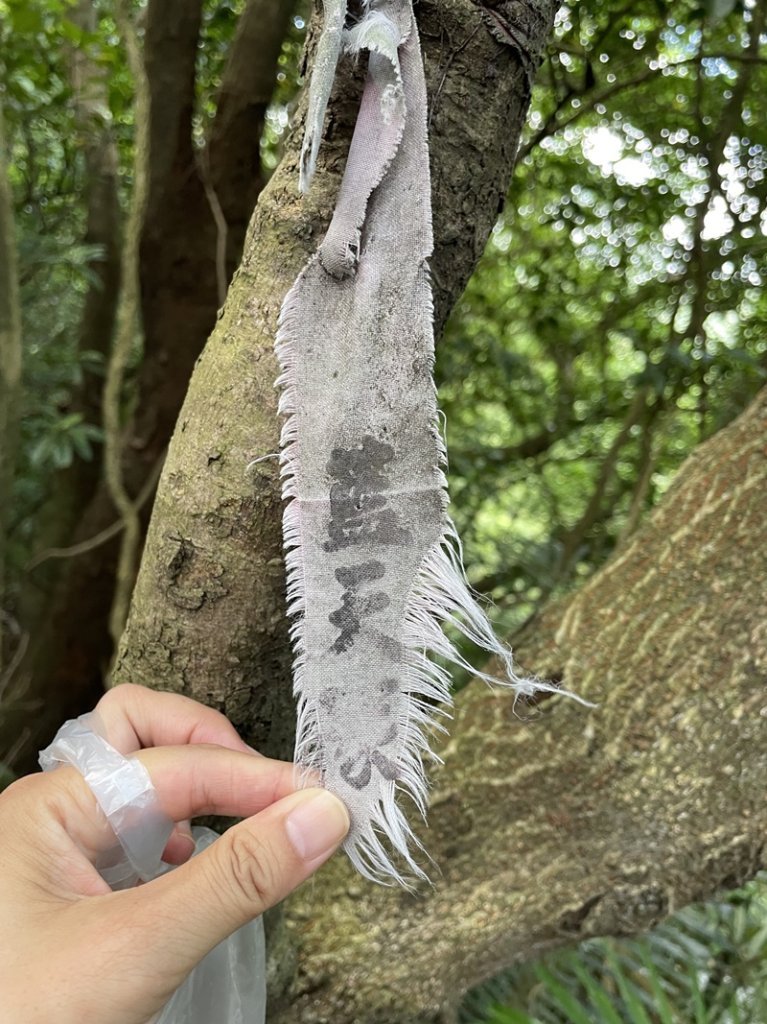 蛇子形古道_2511183