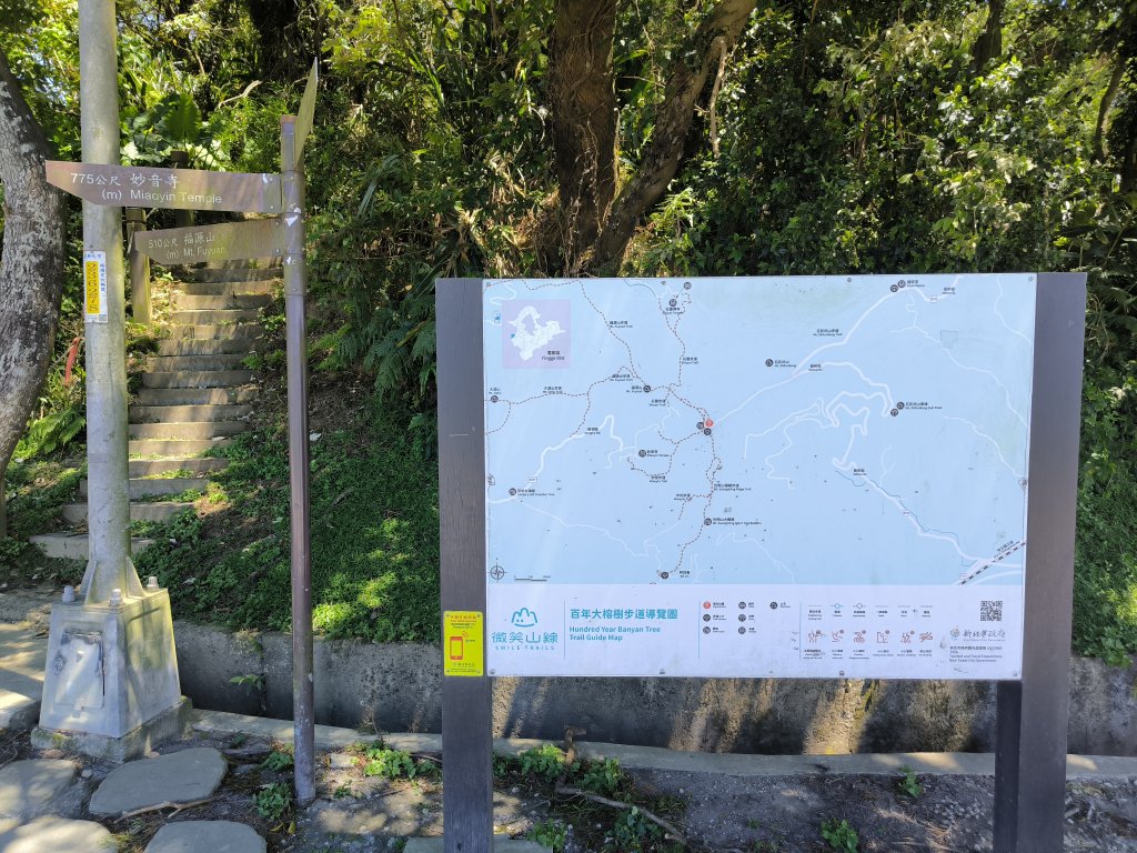 20250815微笑山線大棟山系百年大榕樹段_2859907