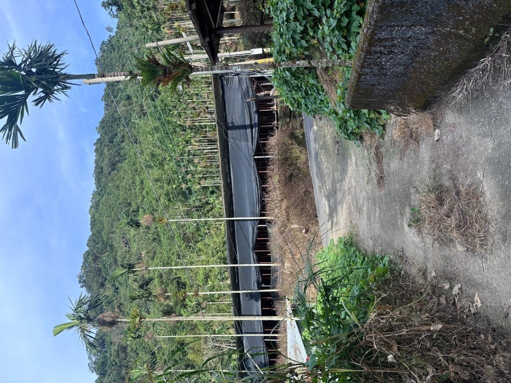 061嘉義竹崎-大湖尖山_2634084