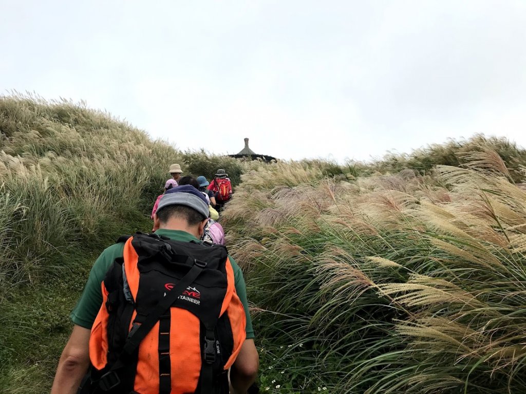 陽明山東西大縱走20191012_1968244