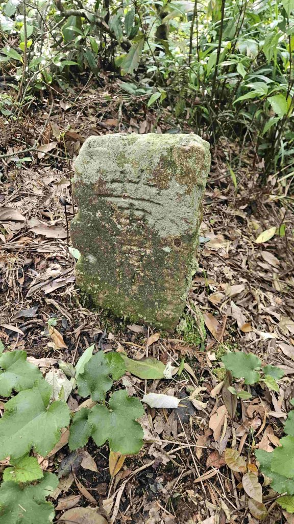 20250502大崙古道-崩山大崙-大崙西北峰-天王峰封面圖