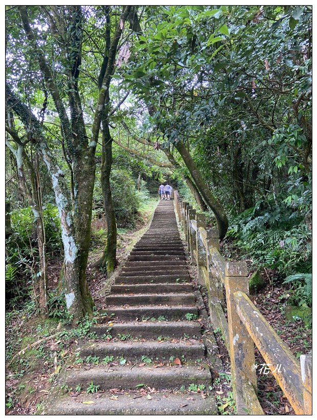 灣坑頭山(小百岳)內寮線、大溪線、草嶺線連走_2529333