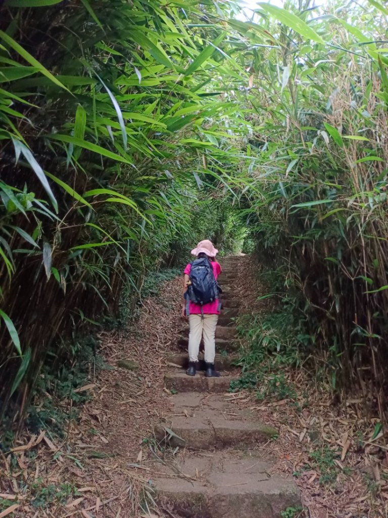 走遍陽明山_2192523