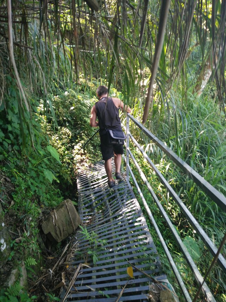 20170509 山羊古道_124803