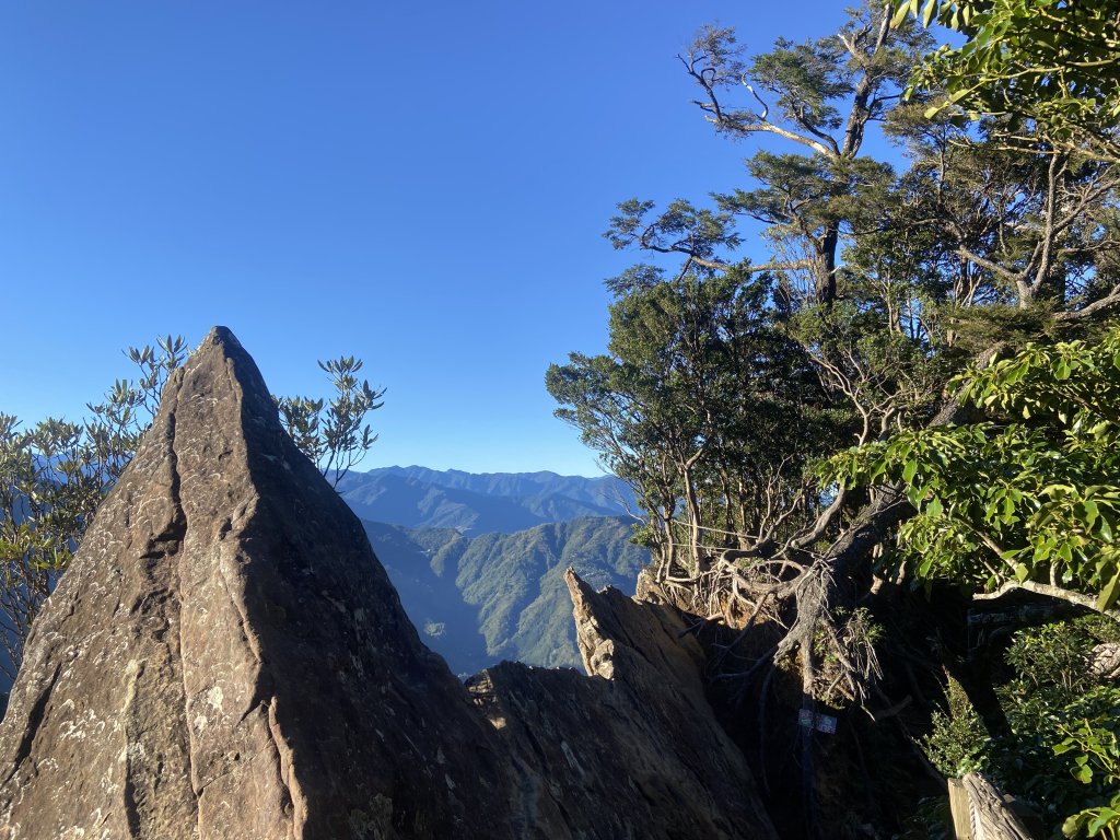 114.11.16 北得拉曼追黃金山毛櫸_2937865