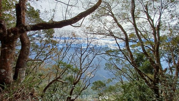 【苗栗泰安】水雲三星最終回。 橫龍山x橫龍山北峰x騰龍山(有極佳的展望)_2061841