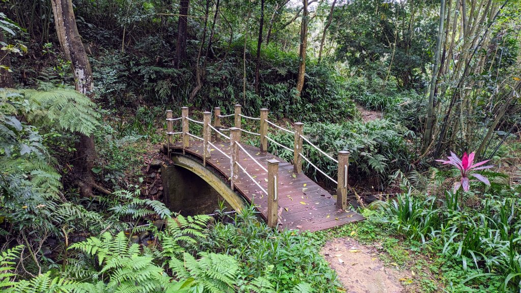 老公崎步道,新林步道_2443923