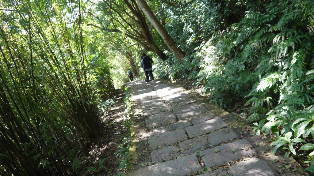 觀音山登山健行趣(小百岳05號)_1632435