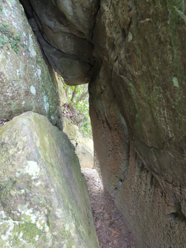 2025.01.18－仙山步道_2706098