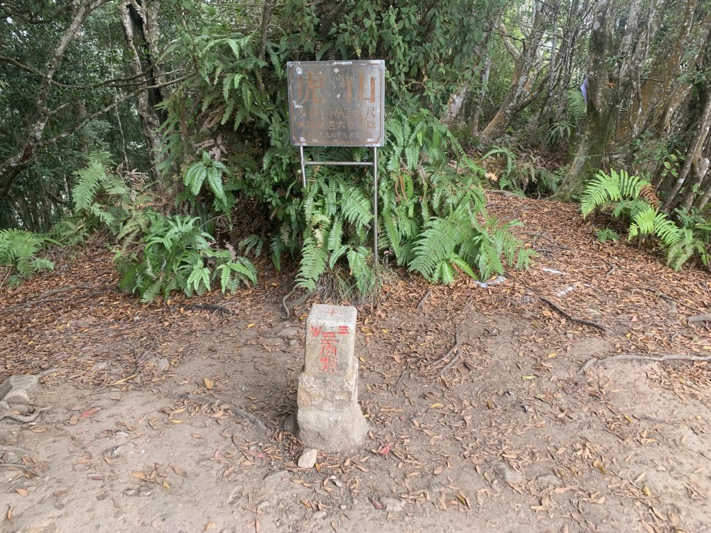 【中級山】明知山沒虎，偏向虎山行_2441957