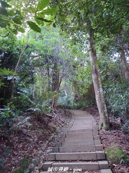 【新竹峨嵋】古樸風情。 獅頭山步道群O型_2397080