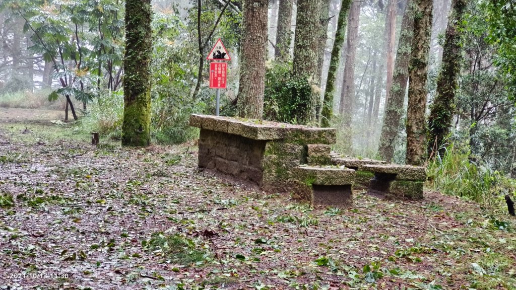 大霸群峰（大霸尖山、小霸尖山、加利山、伊澤山）_1490523