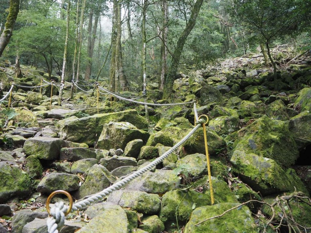 台中鳶嘴山20180406_304869