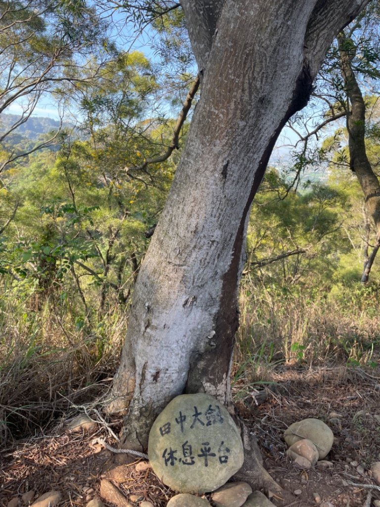 田中大小劍封面圖