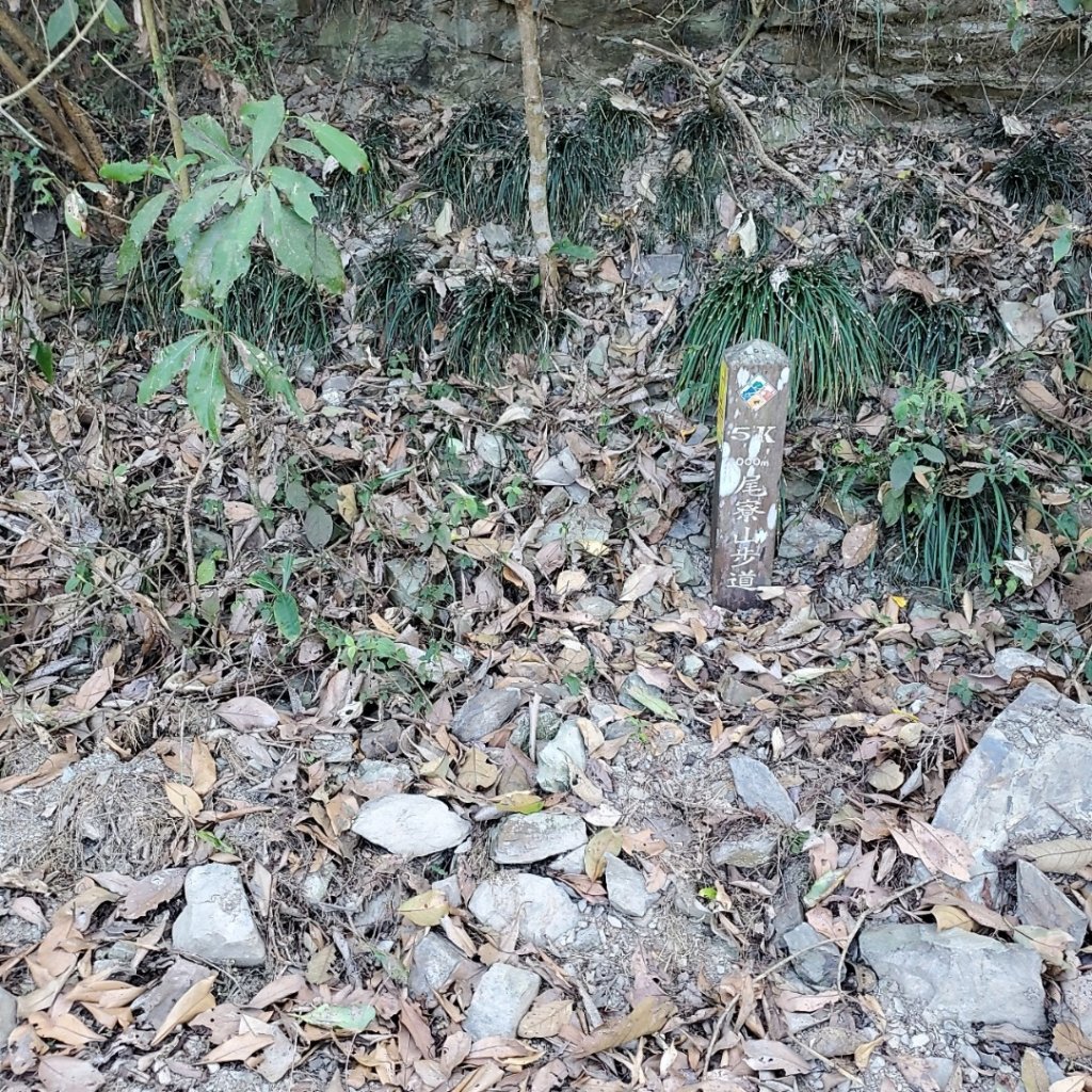 步道巡訪員│初春的尾寮山（沒有春雨）是燥熱_871837