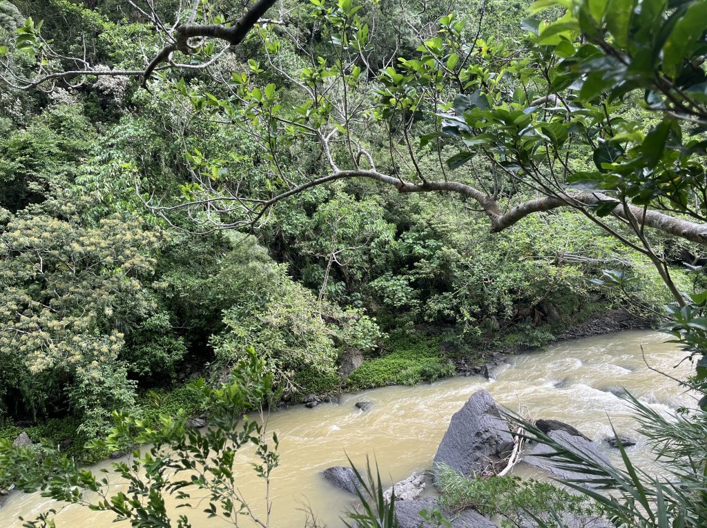 [屏步青雲 尋寶任務-03/10] 2024_0917 雙流國家森林遊樂區（瀑布步道）_2597724