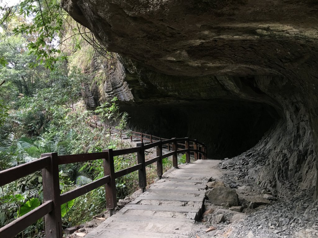 青年嶺步道_819256