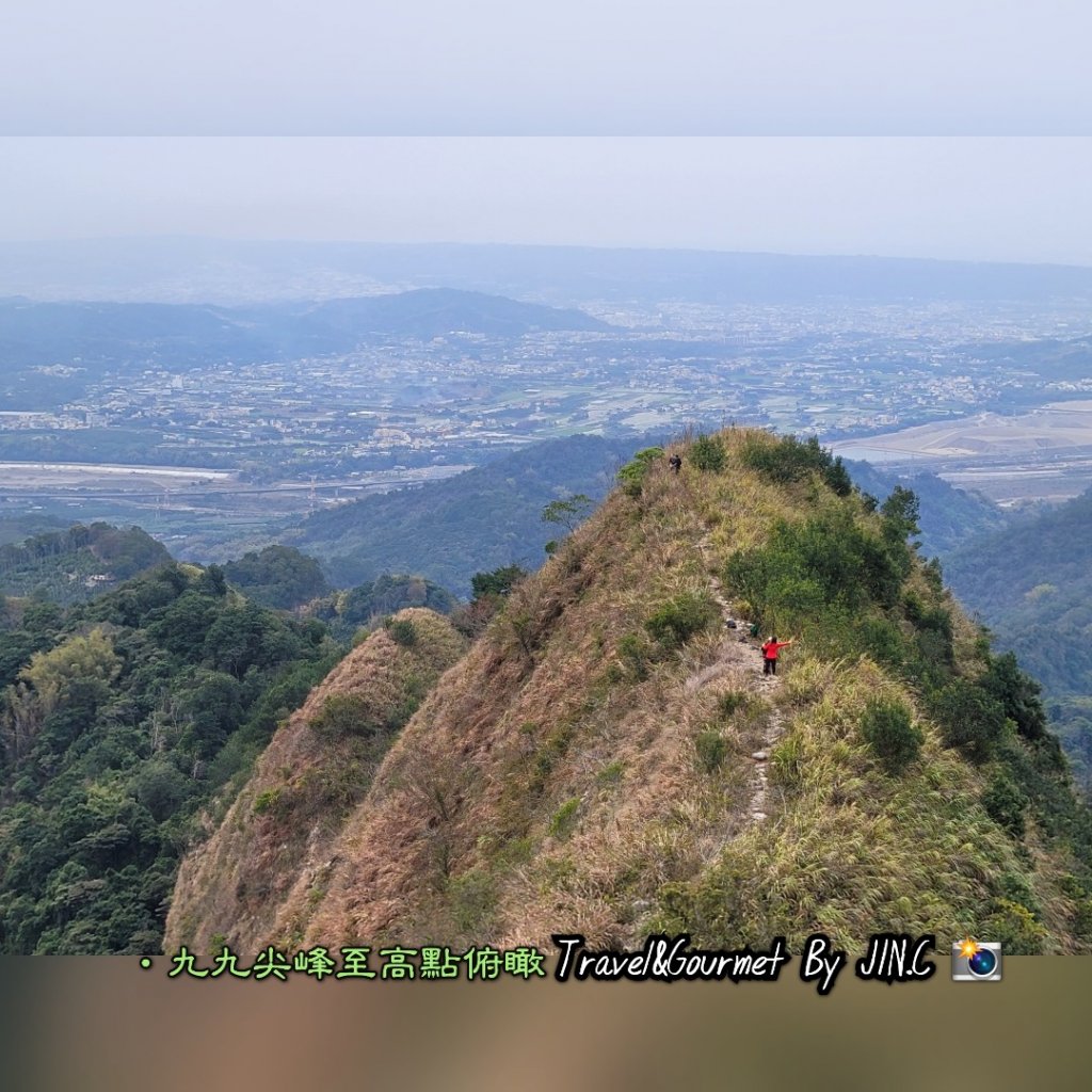 中部抹茶山九九峰＜夏為抹茶冬為咖啡＞_2042822