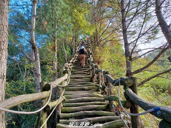 【台中北屯】台灣百大必訪步道。 全台少見的圓木步道。 大坑四號步道 ( 小百岳頭嵙山)_1958329