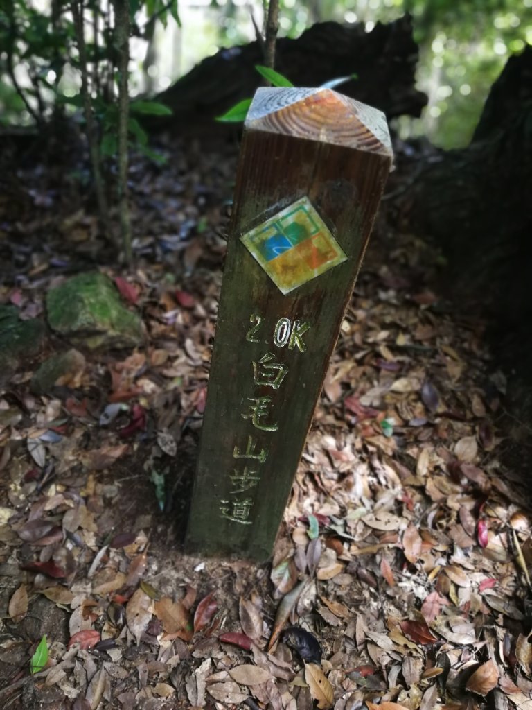 白毛山107.09.29_691394